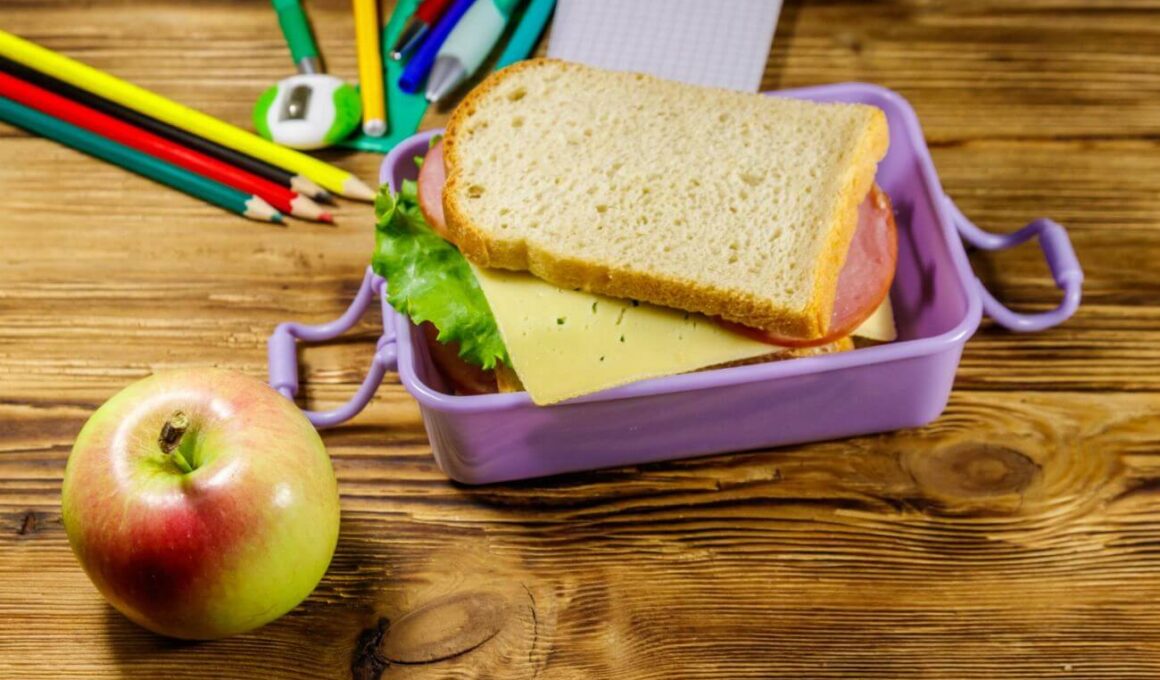 Lunchbox dla dziecka